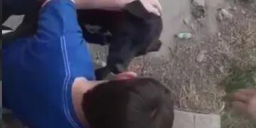 Chicos de Arroyito salvaron a un perro atrapado en un canal