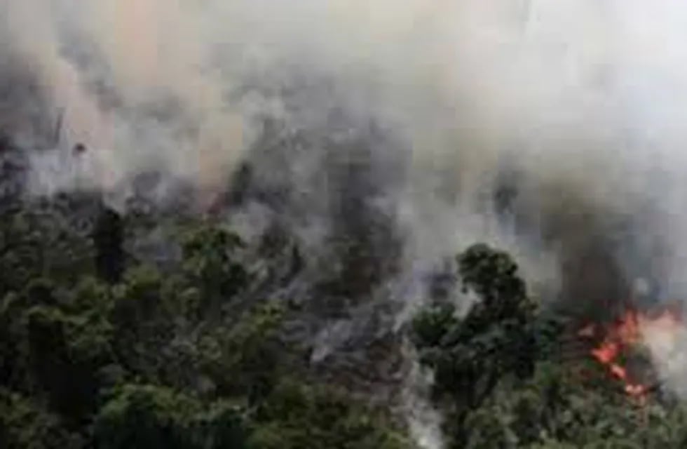 Incendios en el Chaco que comparten Paraguay y Brasil afecta ahora el sur de Misiones. (ABC Color)
