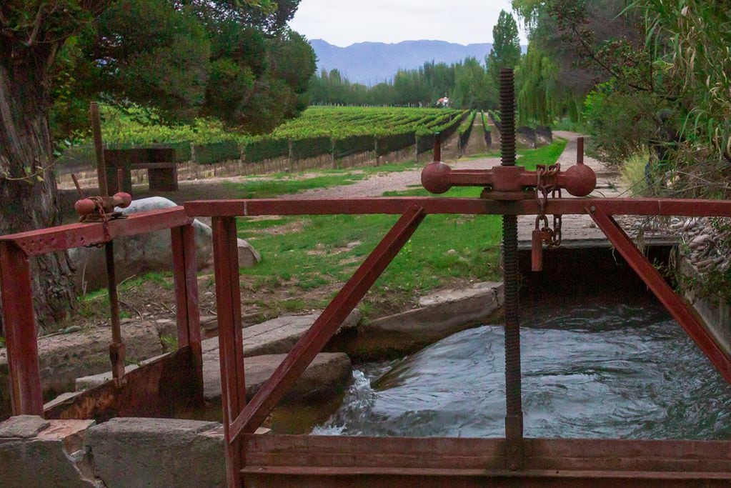 Las históricas compuertas construidas a fines del siglo XIX para repartir el agua por todo Mendoza.