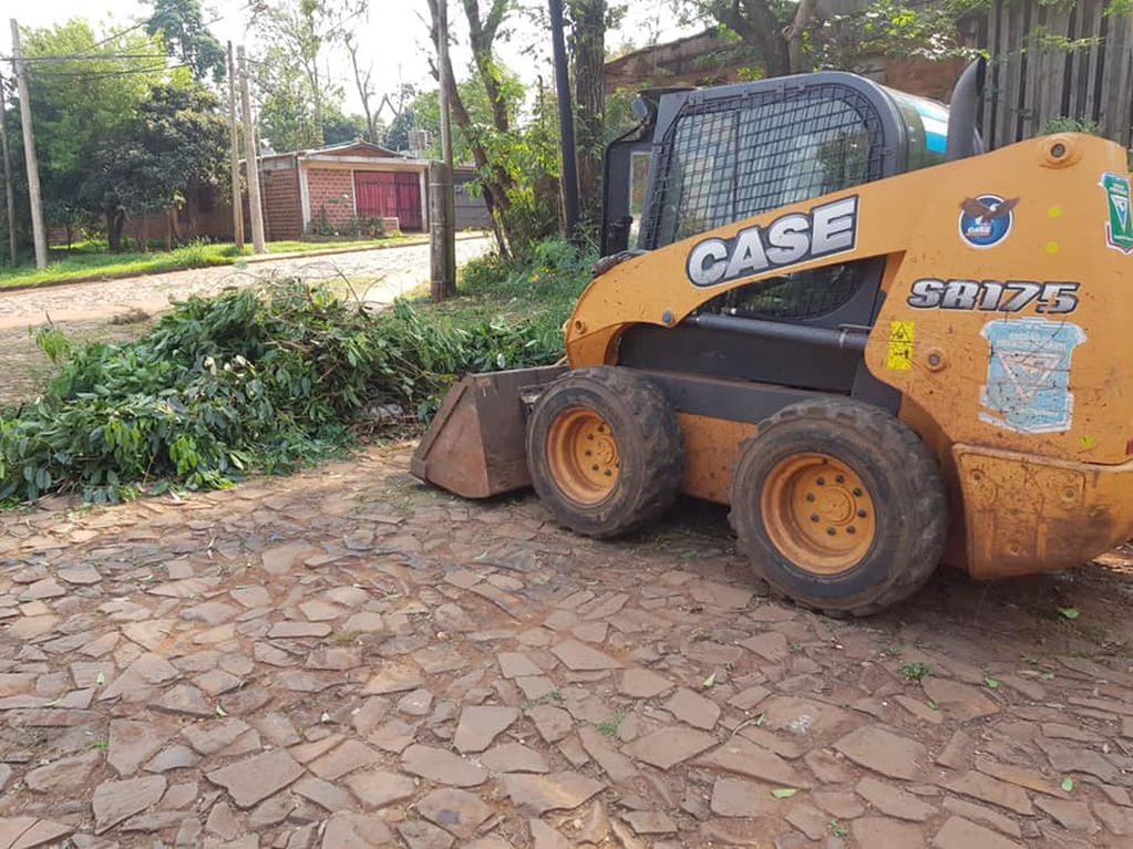 Operativos de limpieza y preventivos contra el dengue en Puerto Iguazú.