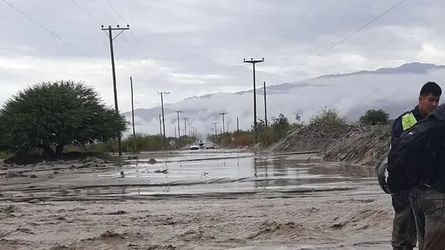 Estado de la ruta en Animaná - Salta