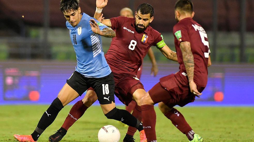 El seleccionado de Venezuela padece 12 casos positivos de COVID-19, a pocas horas del debut en la Copa América 2021.