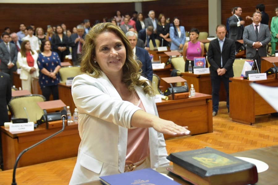Diputada provincial María Claudia Sánchez Cantaberta.