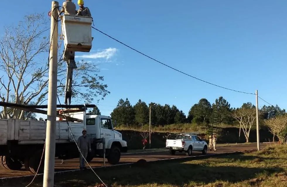 Energía de Misiones trabaja en el cambio de postes eléctricos en Bernado de Irigoyen