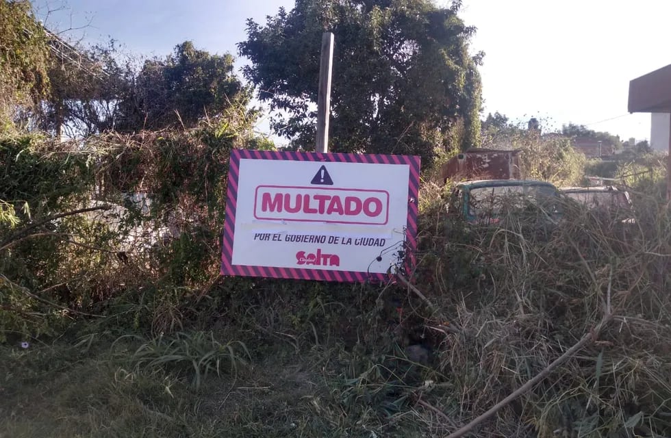 Más de 200 multas en Salta por basurales, baldíos en mal estado y autos abandonados