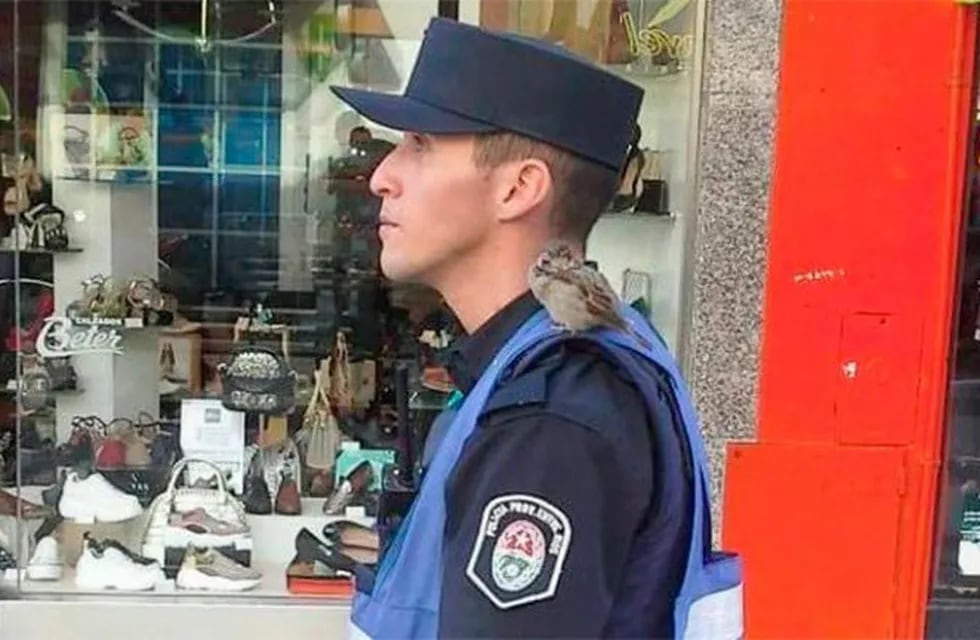 Policía alimentó a un gorrión y lo sancionaron.