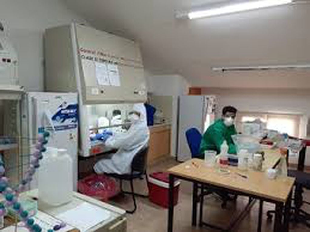 Trabajo de alto nivel científico durante la pandemia de Coronavirus en la región.