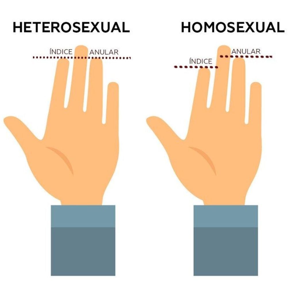El largo de tus dedos revelaría aspectos de tu sexualidad, según la ciencia.
