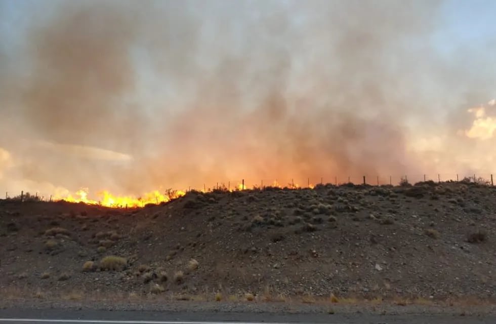 El incendio consumió alrededor de 3.000 hectáreas.