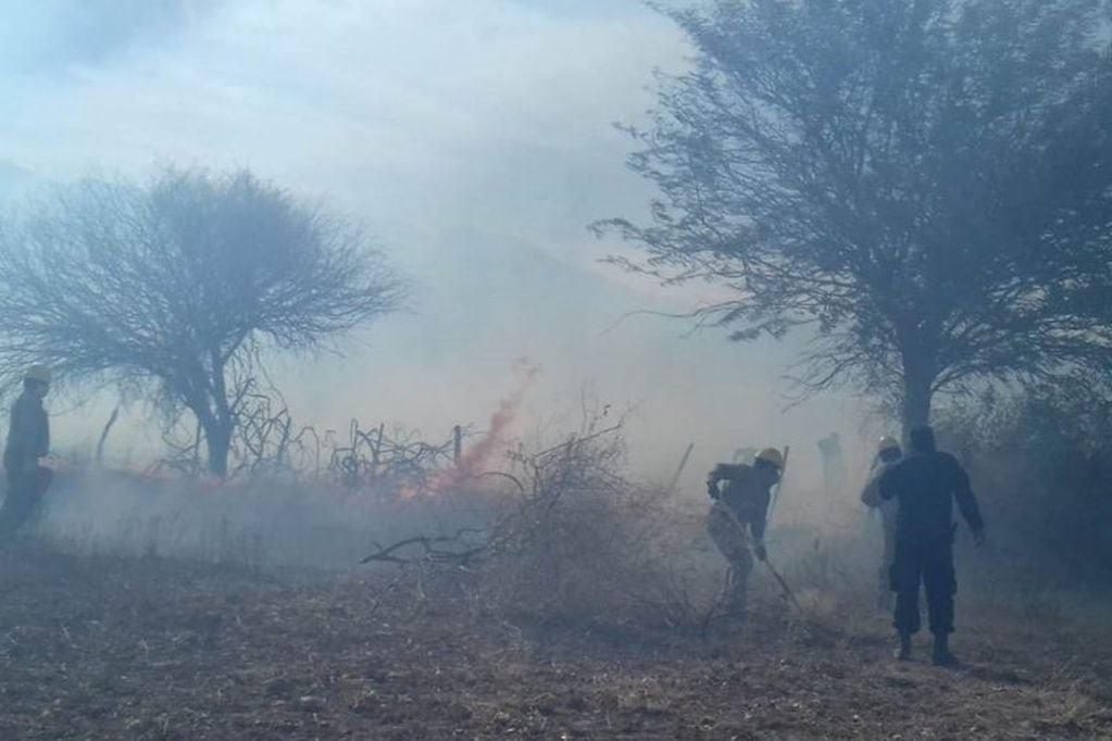 Un incendio consumió 25 hectáreas de pastizales en Cachi. (Policía de Salta)