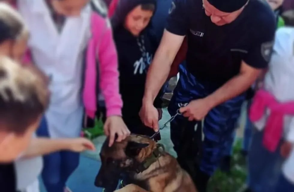 La Policía de Misiones impulsa campaña educativa sobre la tenencia responsable de mascotas en Oberá.