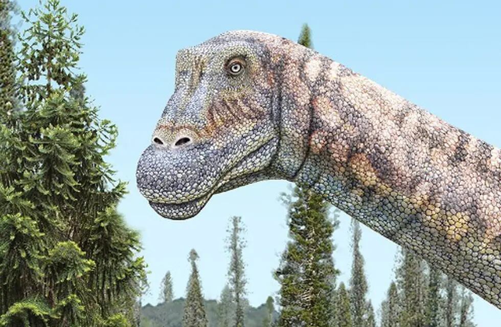 Descubren uno de los últimos titanosaurios en Chile.