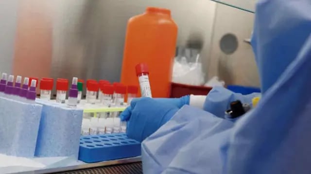 Un laboratorio alemán anunció avances en la búsqueda de una vacuna contra el Covid-19.