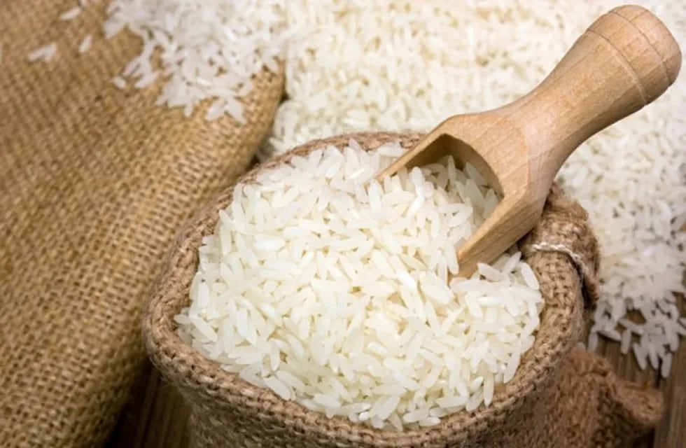 La producción de arroz en Entre Ríos en la campaña 2018/19 bajó a 426.370 toneladas