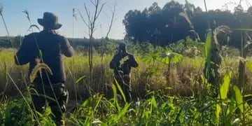 Secuestraron tres motos de presuntos cazadores furtivos en Puerto Esperanza