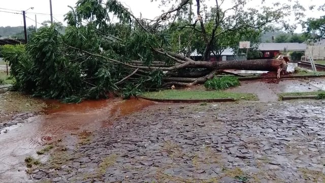 Fuerte temporal causó destrozos en Eldorado