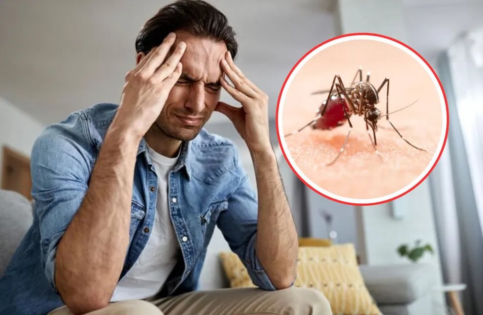¿Fiebre y dolor de cabeza? No ignores estos síntomas: podría ser dengue.