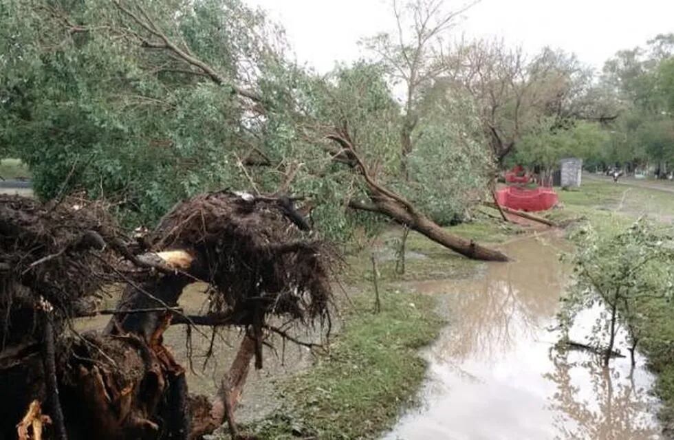 Varias localidades del interior quedaron muy afectadas por el paso del temporal.