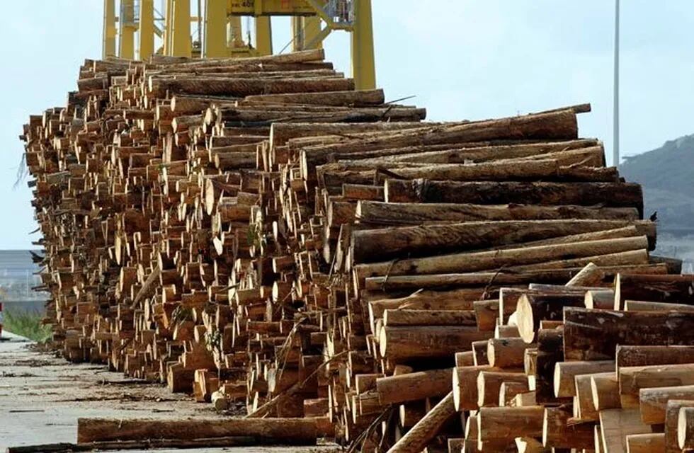 Unas 300.000 toneladas de madera se exportaron desde Entre Ríos en el último semestre