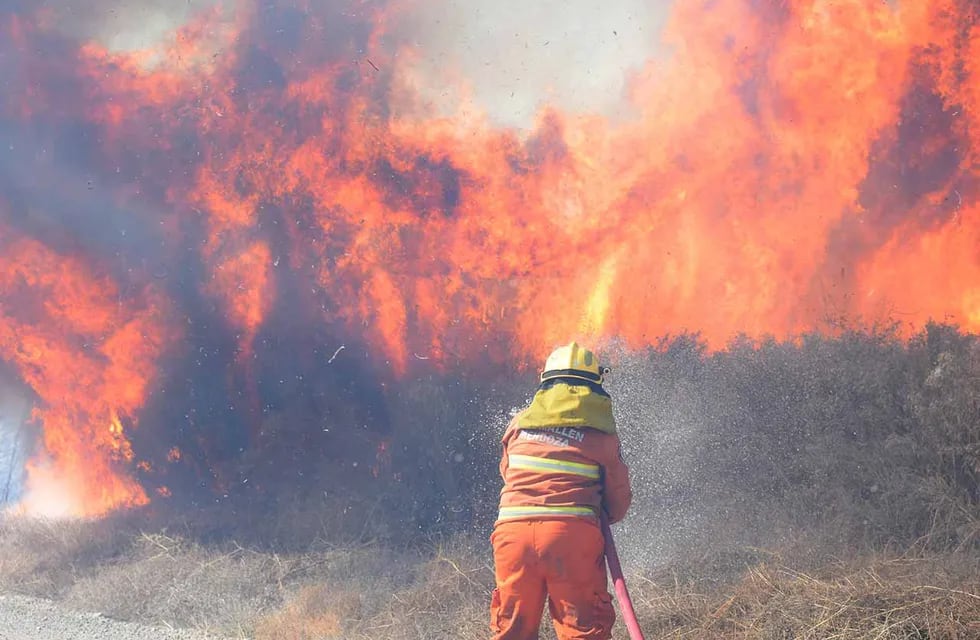 Para combatir incendios forestales, construirán bases con fondos propios