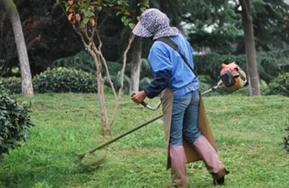 Insólito: amenazó de muerte a un cortador de pasto por “hacer ruido” a la siesta. Imagen ilustrativa.