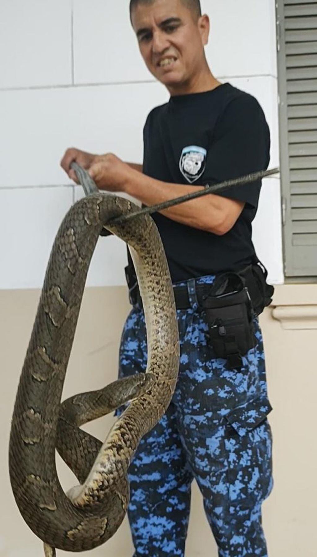 Personal policial de la Patrulla Ambiental asistió al lugar para retirar al animal.