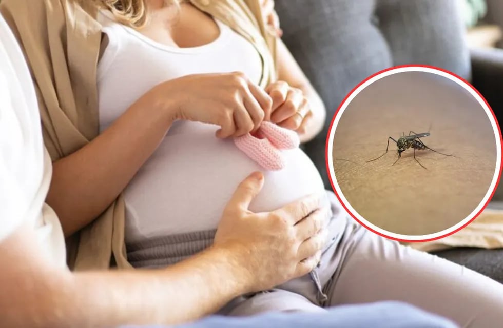 Embarazada y con dengue: ¿existe algún riesgo para el bebé?