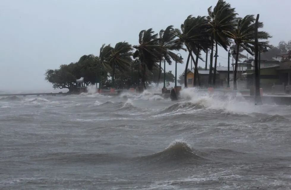 Palm trees buckle under winds and rain as Hurricane Irma slammed across islands in the northern Caribbean on Wednesday, in Fajardo, Puerto Rico September 6, 2017.  REUTERS/Alvin Baez