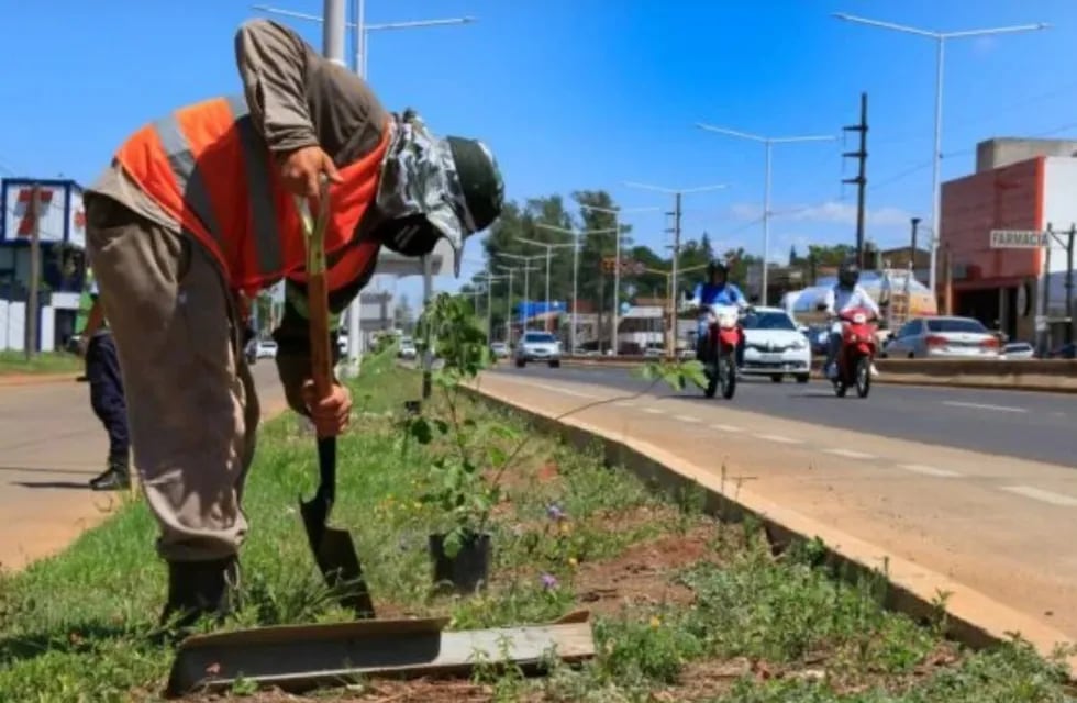 Travesía Urbana en Posadas: convocan a la población a plantar árboles.