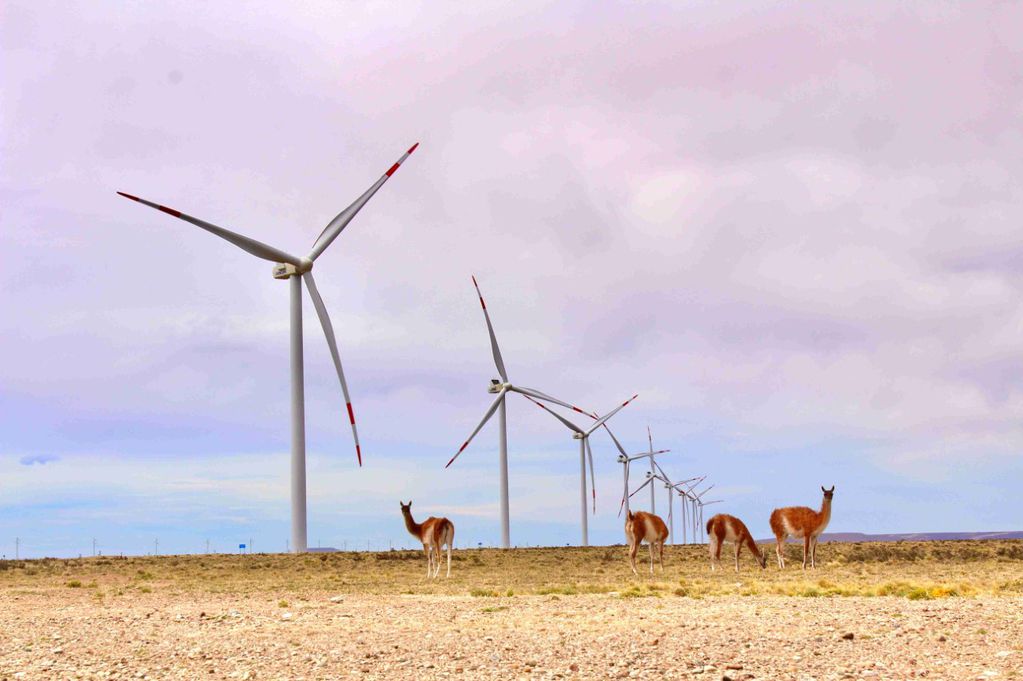 Cada vez, más turbinas para la producción de energía eólica se instalan en el país. 