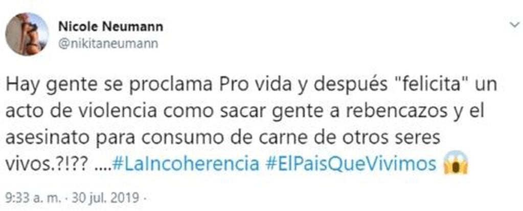 Nicole Neumann le dejó un mensaje en Twitter al precandidato a presidente por el frente NOS, Juan José Gómez Centurión. (Captura Twitter)