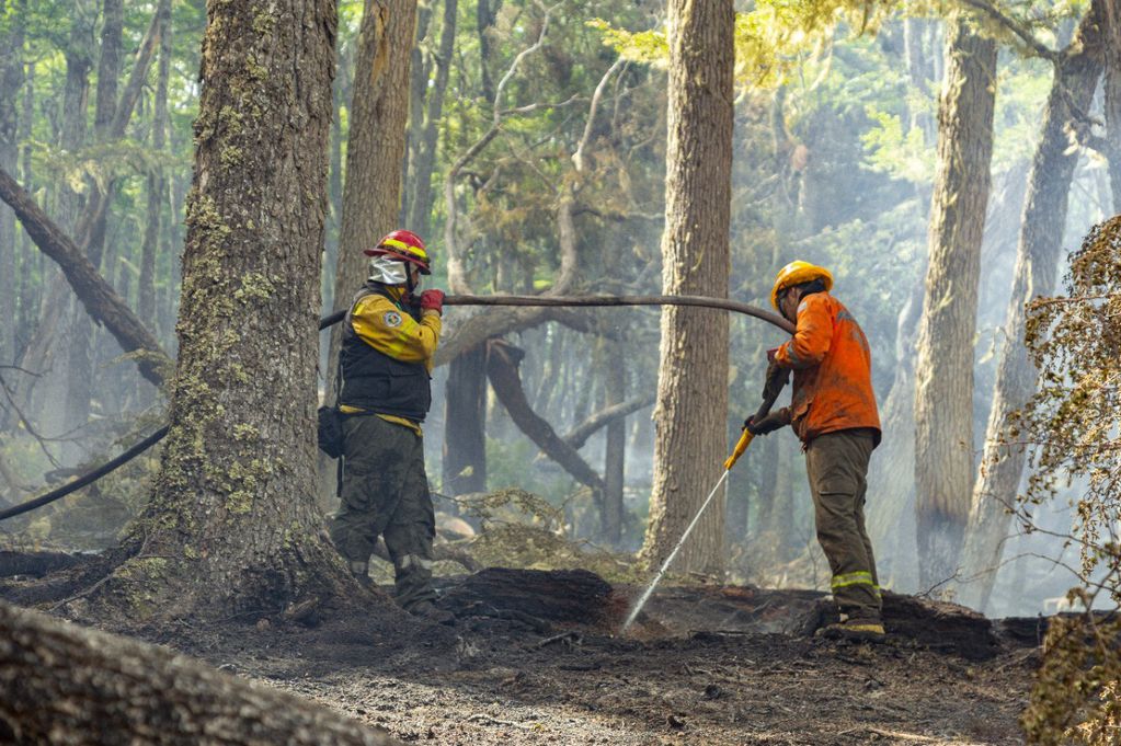 "El incendio en la Reserva está circunscripto", dijo Pablo Paredes, director Provincial de Manejo del Fuego,