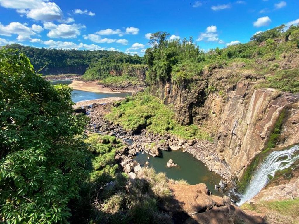 El fenómeno ocurre durante el cierre del Parque Nacional Iguazú por la cuarentena obligatoria.