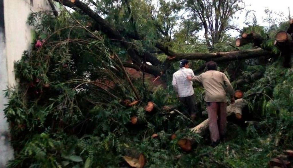 Estragos provocados por la tormenta en Machagai y San Martín. (Web).