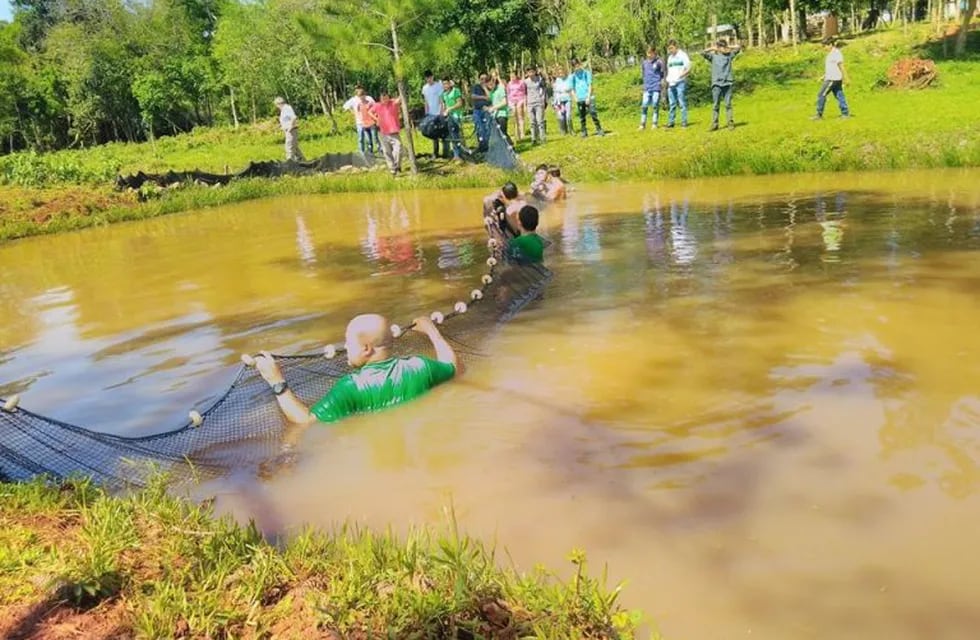 Imagen archivo. Alumnos y profesores del IEA realizando una biometría del estanque.