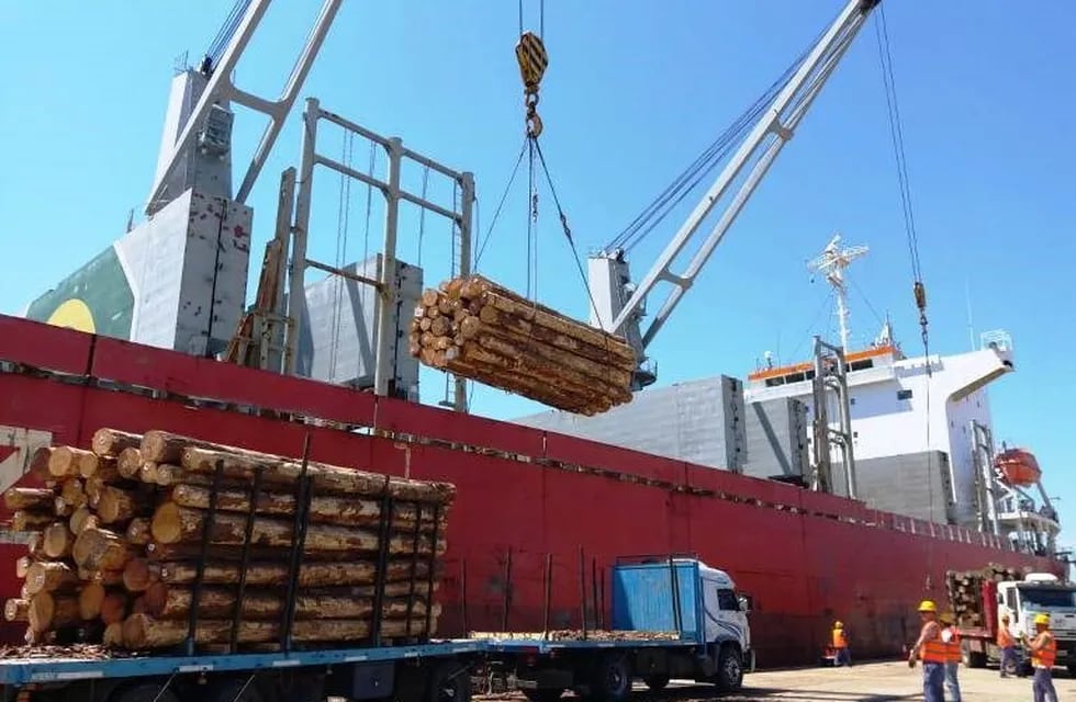 Primera exportación a China de madera de eucalipto argentino