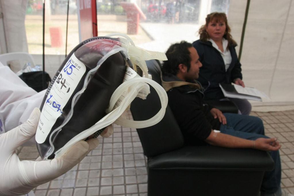 Argentina es líder regional en donación de sangre 
