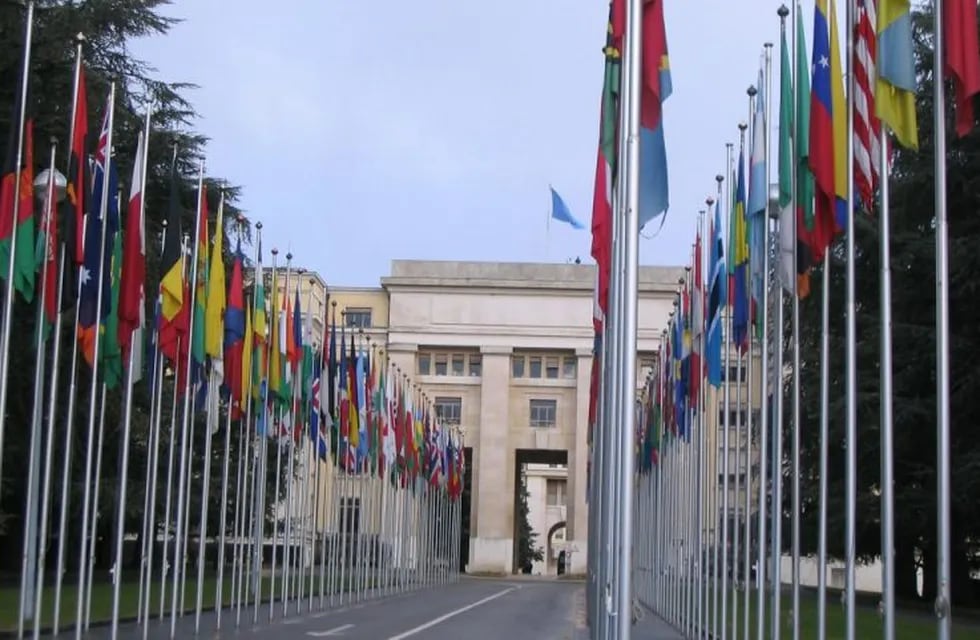Representante riojana disertará en una Webinar de la ONU