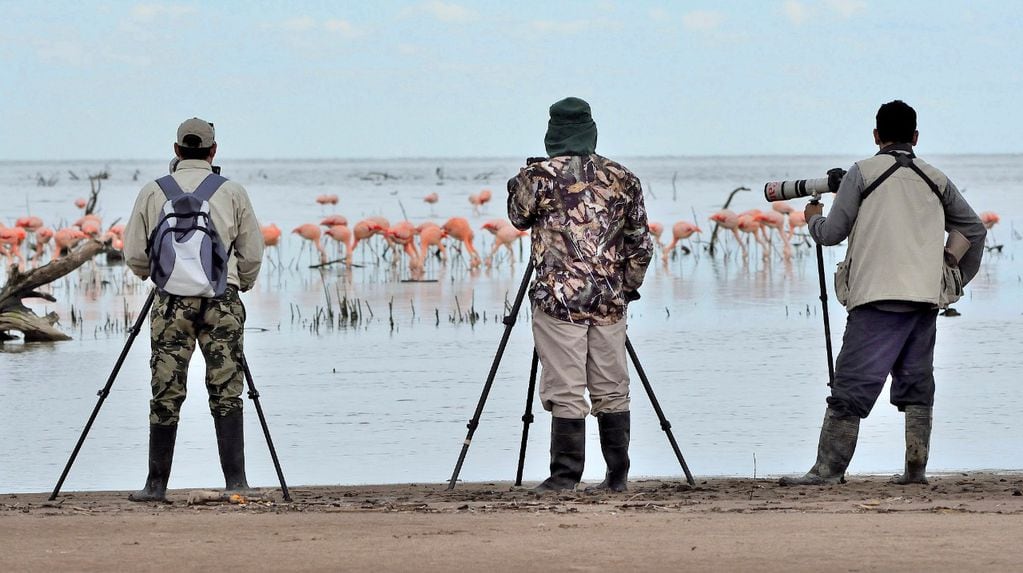 El avistaje de aves en el mar de Ansenuza, atrae a turistas de todo el mundo. PH Miguel Durando - grupo Ansenuza NatBio