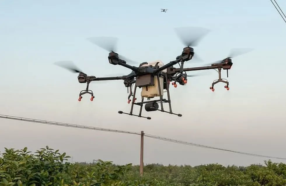 Drone en el campo
