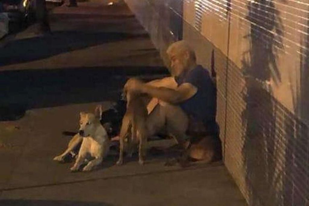 Perros esperan a su dueño toda la noche frente al hospital. (LA NACIÓN)