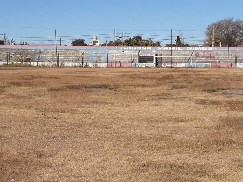 La cancha de San Lorenzo tiene más pasto aunque con la cuarentena se hace muy difícil mantenerla