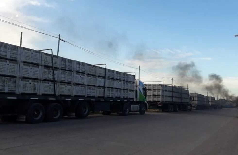 Pato de transportes de cargas de Limón en Tucumán (Vía Tucumán)