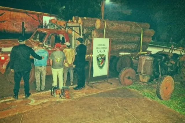 Recuperan madera proveniente de apeo ilegal en Santa María y General Urquiza