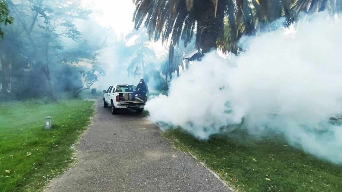 Empezó la fumigación intensa
