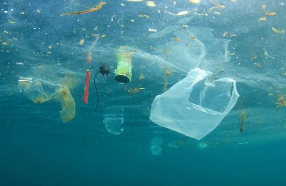 Más del 80% de los residuos encontrados en las playas bonaerenses son plásticos