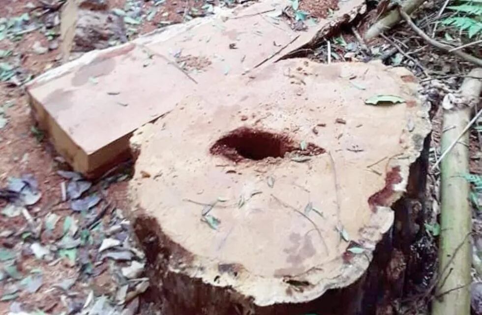La comunidad Fortín Mbororé, denuncian desmontes de parte de la comunidad Mirí Marangatú