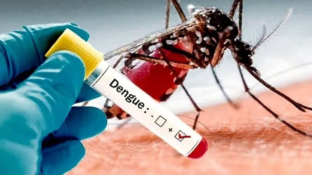 Dengue: amplían las medidas para eliminar definitiva el Aedes aegypti