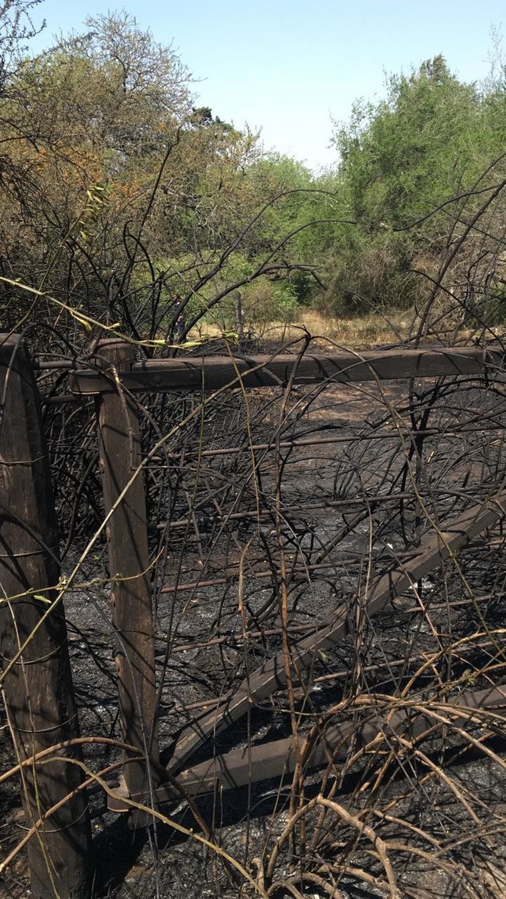 Villa Los Aromos: Vecinos y Bomberos lograron extinguir un incendio