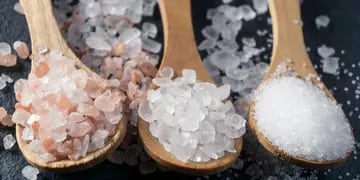 Tipos de sal y sus usos en la cocina